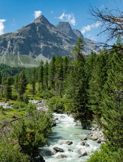 Vacanza in Montagna Bormio