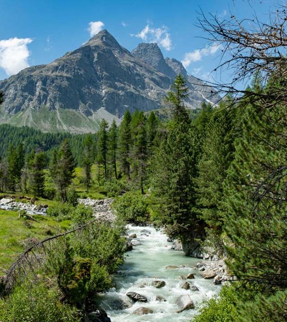Vacanza in Montagna Bormio